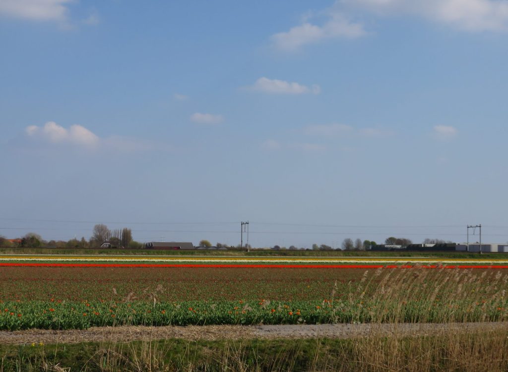 Landschap met trein
