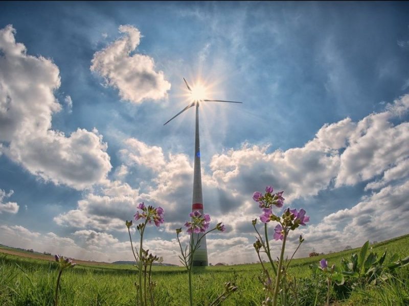 Duurzaamheid-klimaatneutraal-greenport-duin-en-bollenstreek