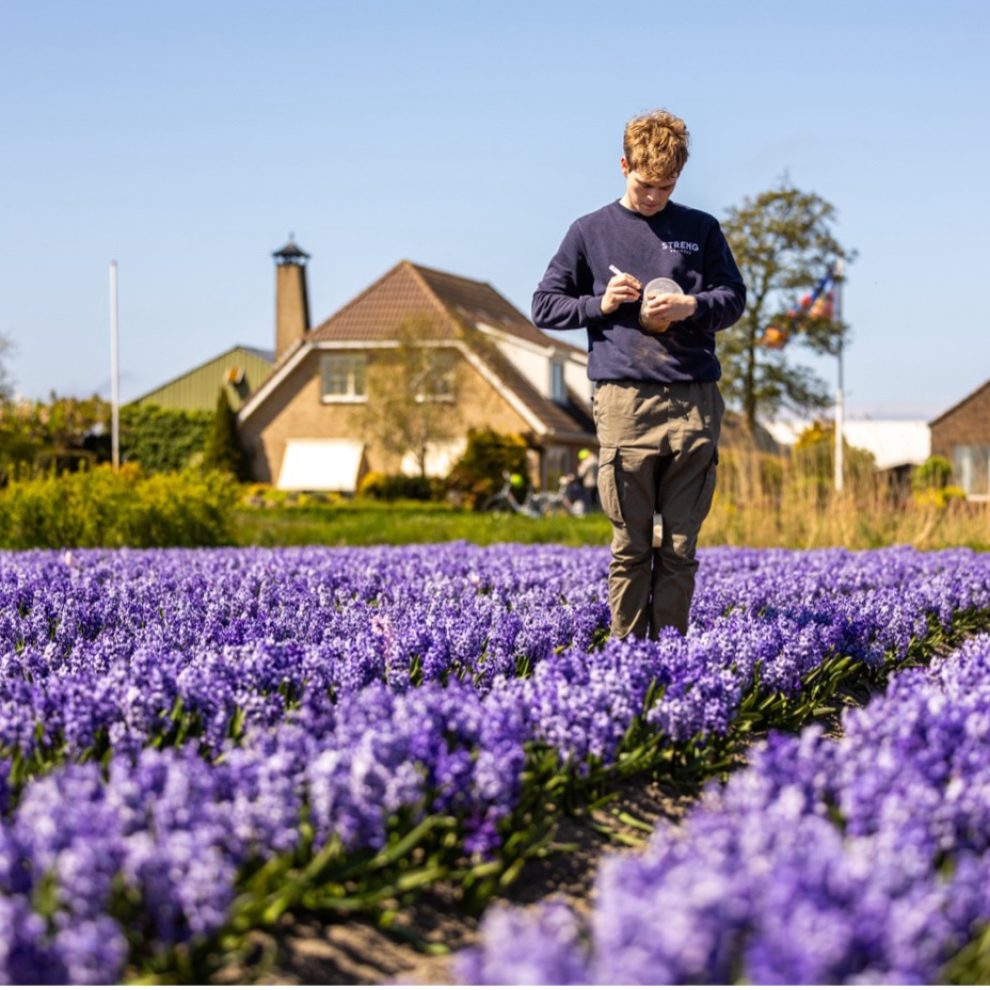 demoveld-inloopavond-greenport